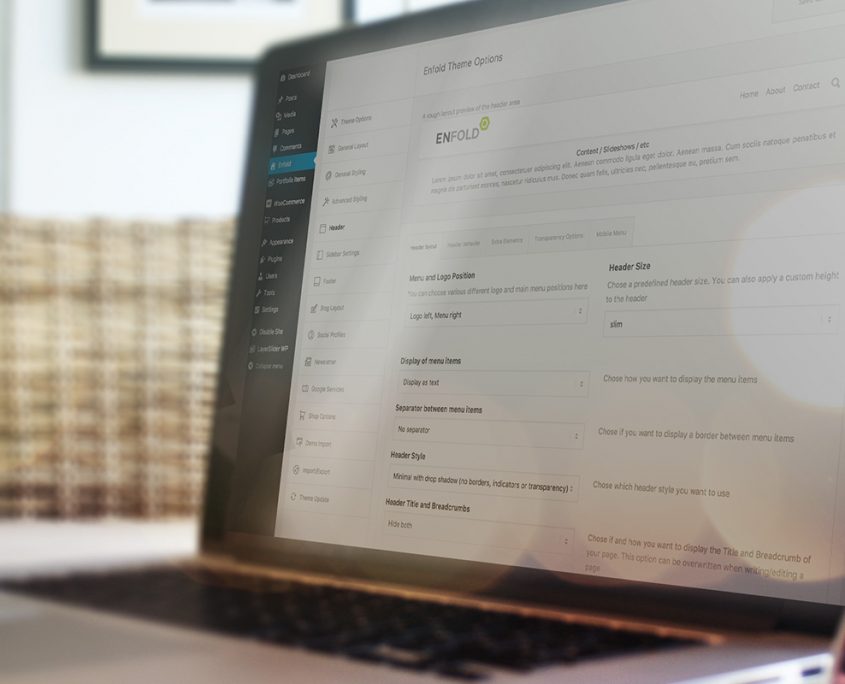 Powerful Theme Options